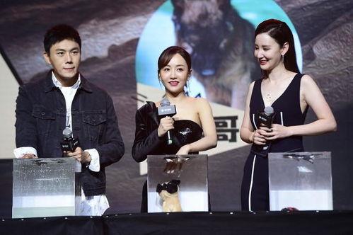 娱乐圈吃瓜爆料博主推荐,揭秘明星背后的惊人真相!