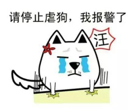 娱乐吃瓜酱隐形式单身