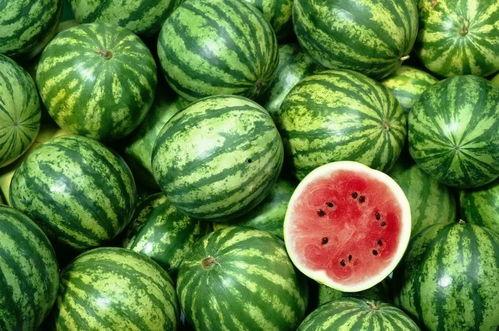 娱乐吃瓜作品在哪看,盘点各大平台热门作品一览